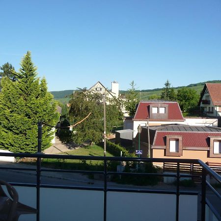 Le Parc Du Marlenberg Apartman Marlenheim Kültér fotó