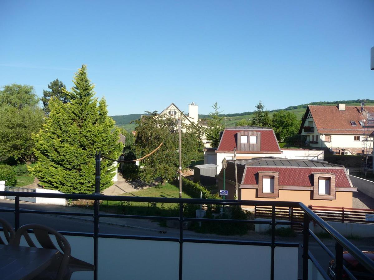 Le Parc Du Marlenberg Apartman Marlenheim Kültér fotó